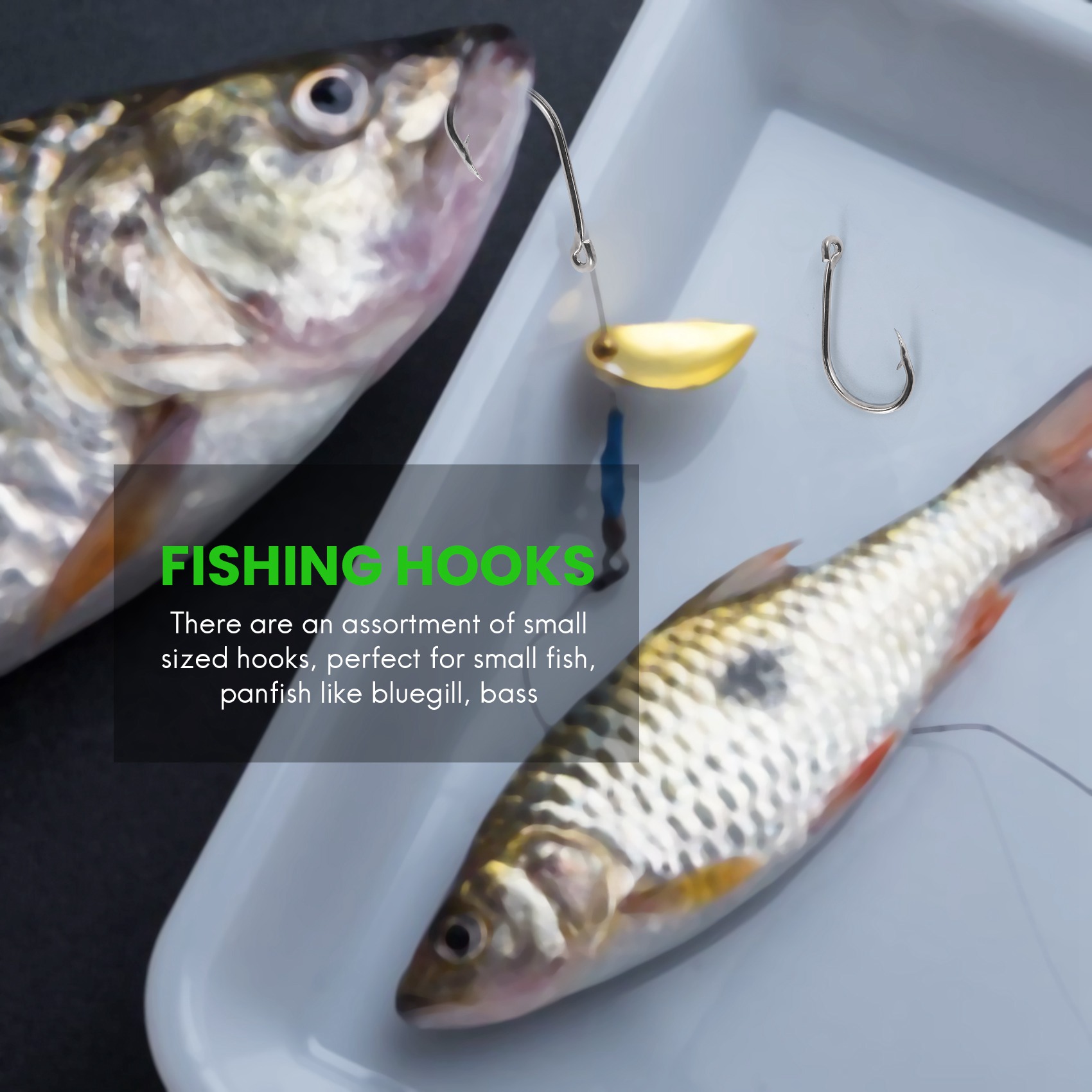 Nuovo arrivo 500 pezzi/set di  - Fishing Hook Box recensione e prezzo